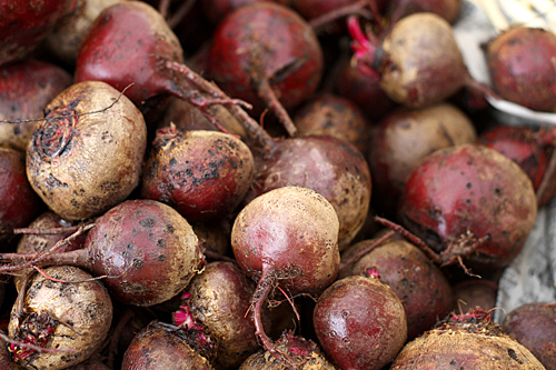 Beautiful Beets