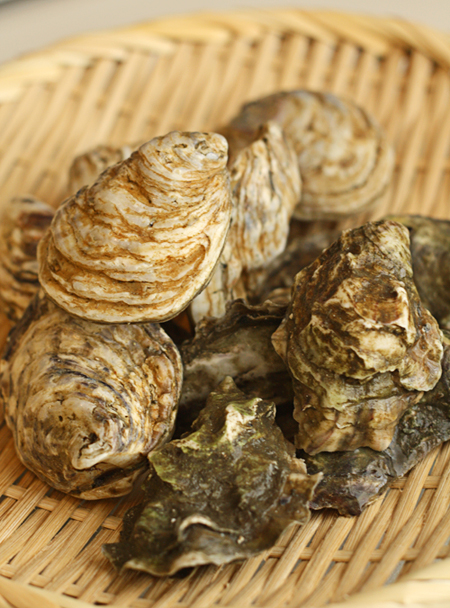 Fresh-Point-Reyes-and-Kusshi-Oysters /upload/thumbnail1/2025/2/24/207029/thumb2