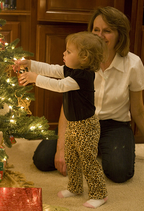 Bug checking out the Christmas tree