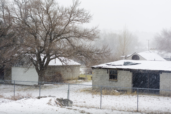 Snowy SLC, Utah