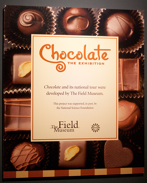 chocolate: the exhibition, at muzeo—a sweet experience