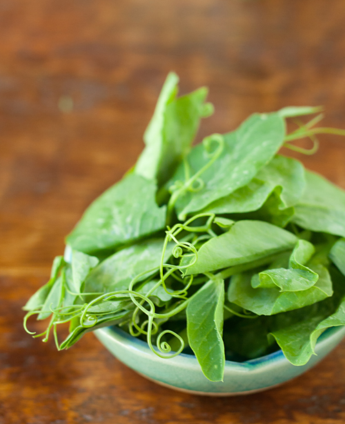 Dau Miu, snow pea shoots