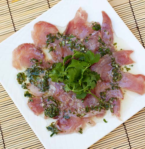 Hamachi Carpaccio