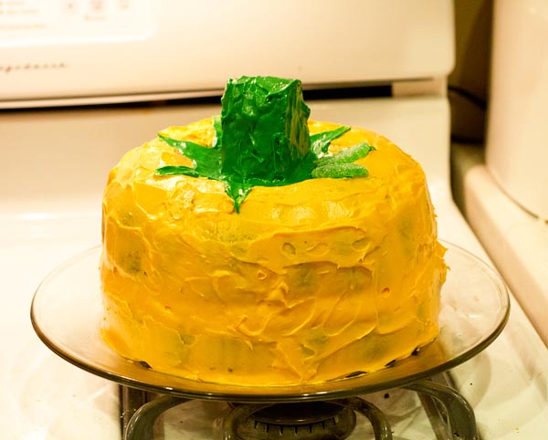 Chocolate Pumpkin Bundt Cake