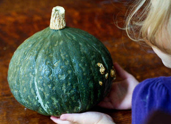 Kabocha Squash