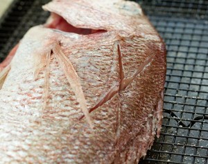 Tai no Shioyaki (Japanese Salt-Grilled Sea Bream) Recipe — La Fuji Mama