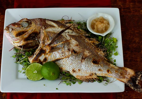 Salt-Grilled Sea Bream Tai no shioyaki, Salt-grilled sea bream