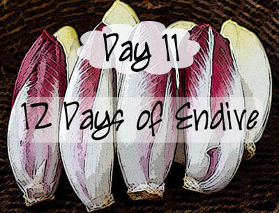 Day 11, the 12 Days of Endive