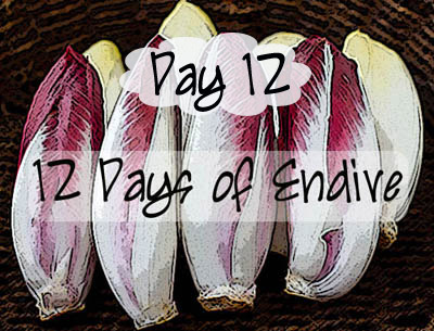 Day 12, 12 Days of Endive