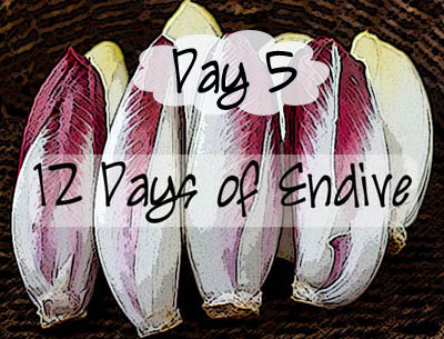 Day 5, 12 Days of Endive