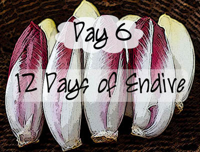 Day 6, 12 Days of Endive