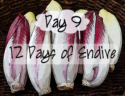 Day 9, 12 Days of Endive