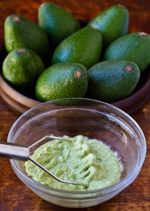 Mashing up a Fuerte avocado