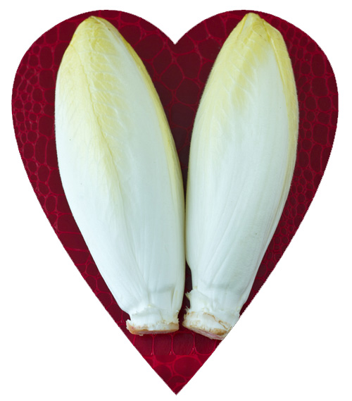 Endive Love