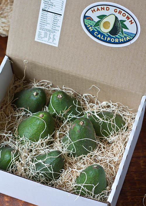 California Avoacdos Direct Avocados