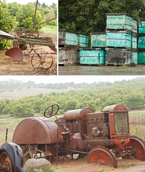 Old farming equipment