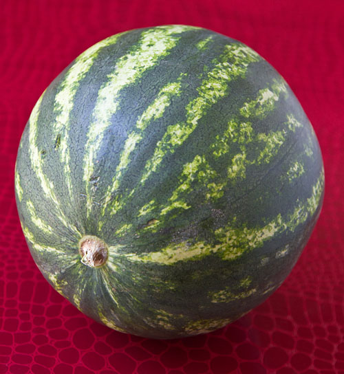 Summer Watermelon