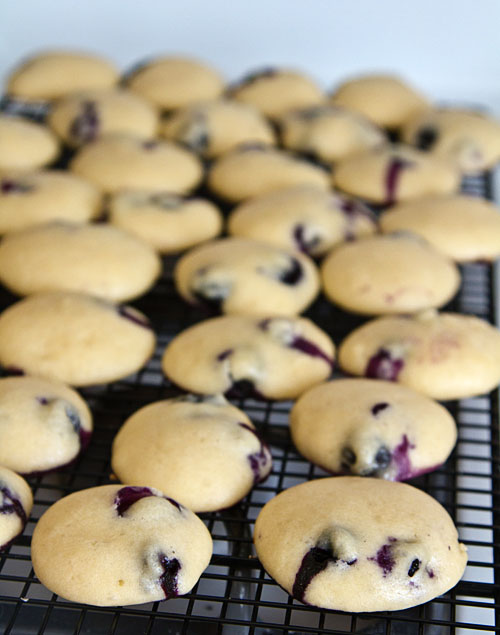 Blueberry Yogurt Cookies cooling