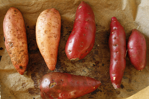 Menagerie of Sweet Potatoes