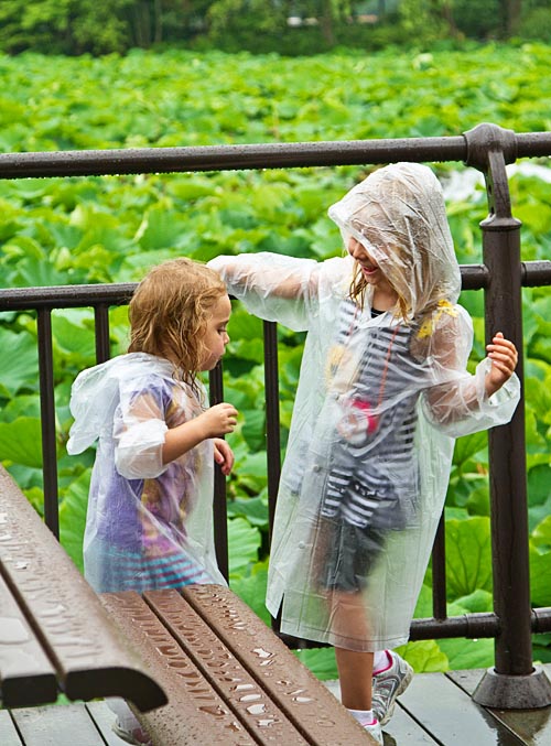 Playing in the rain at Ueno Zoo