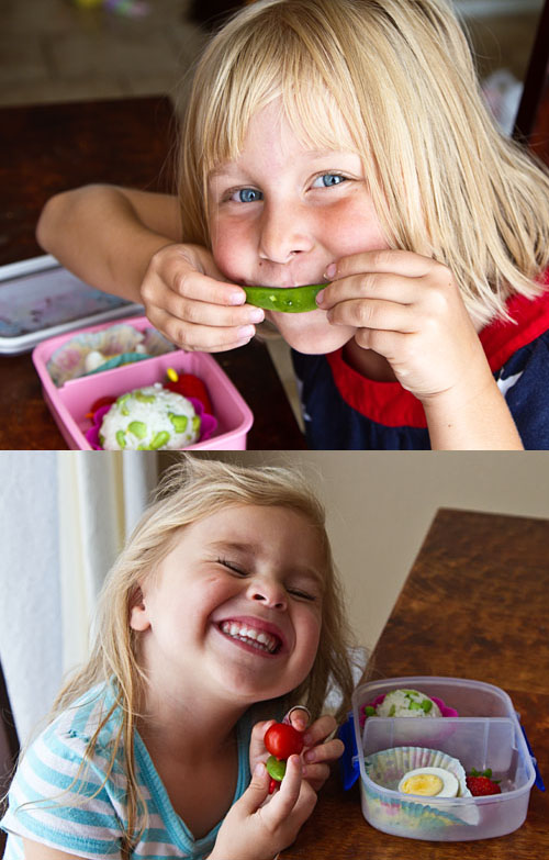 Onigiri Bentos make the Fujilings happy