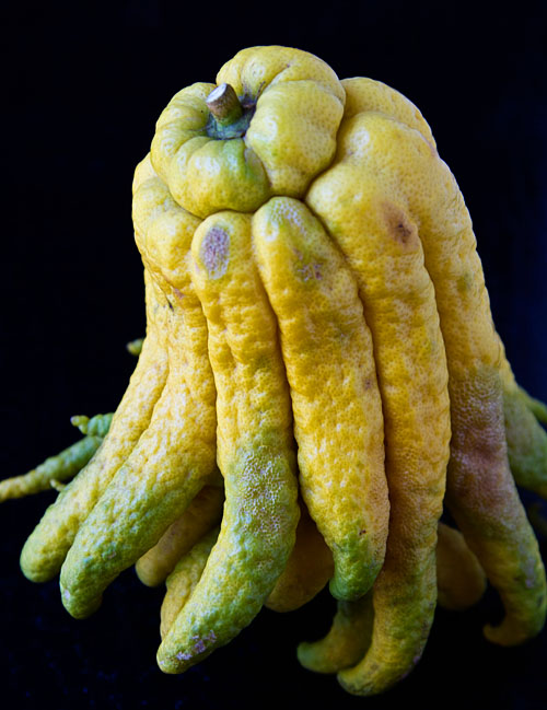 Buddha's Hand Citron