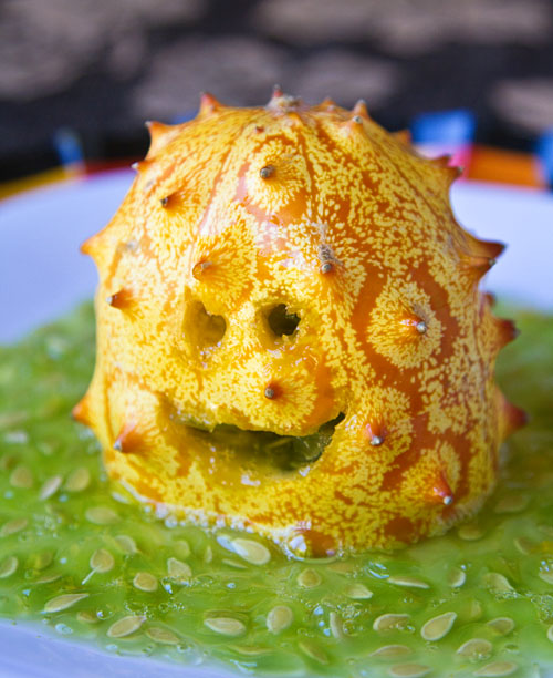 Kiwano Swamp Monster