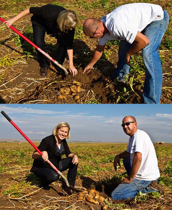 Potato Harvesting Lessons with Alex Tiede