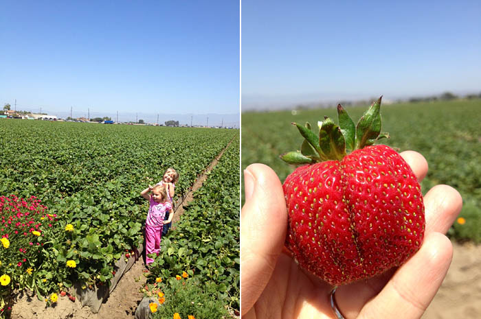 A Day with California Strawberries