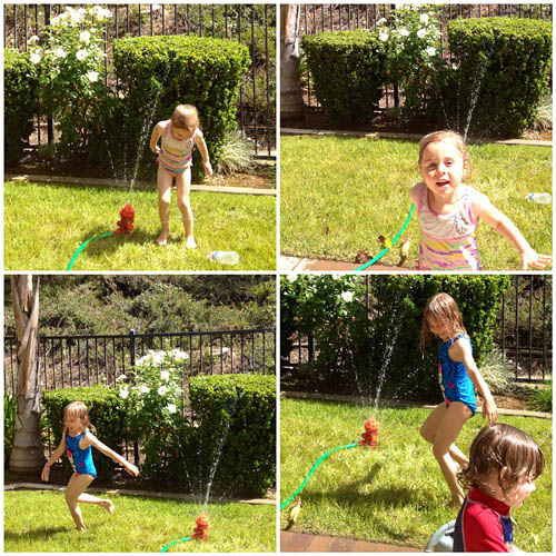 Sprinkler Fun