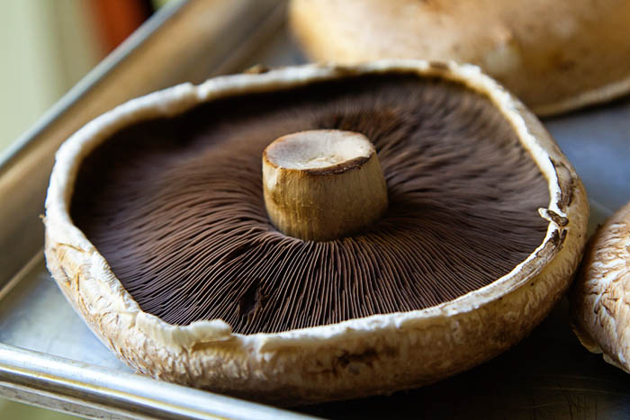 Portobello Mushrooms