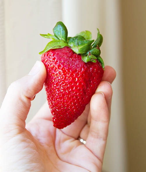 Fresh California strawberry