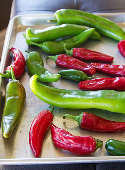 Fresh peppers from the garden