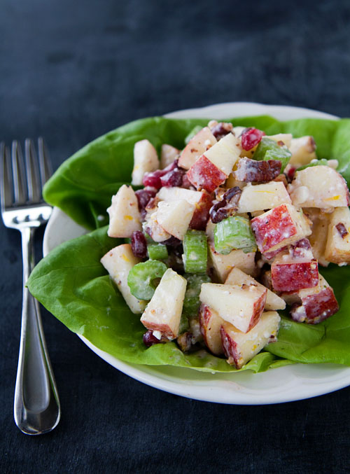 Holiday Waldorf Salad 2