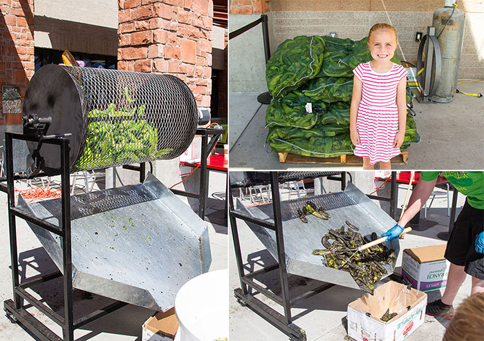 Checking out the Hatch chile roast at