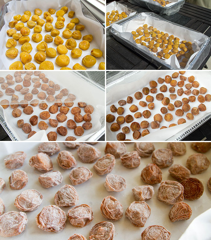 Drying pickled plums