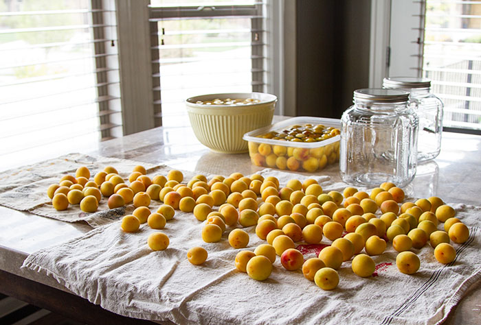 Drying ume after soaking