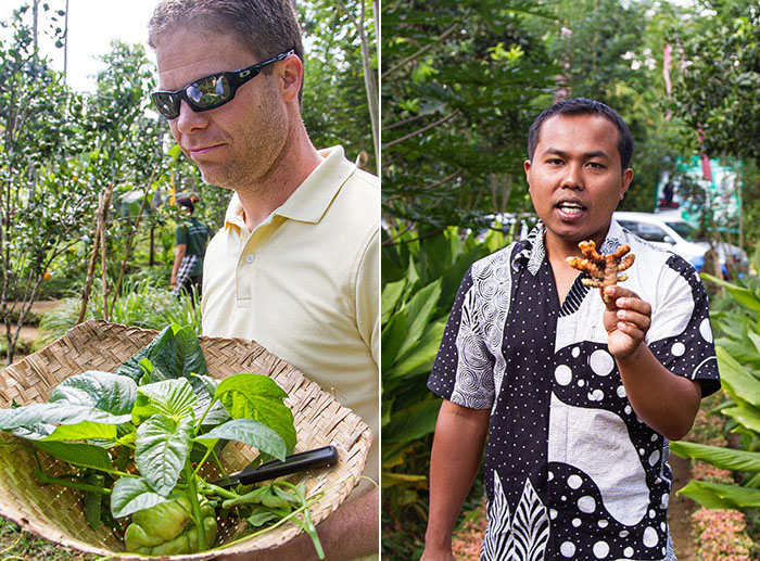 Harvesting ingredients and learning on the farm