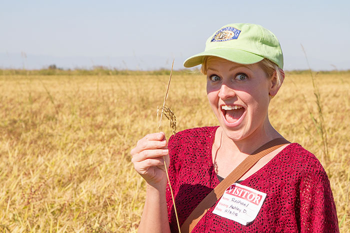 In the rice fields