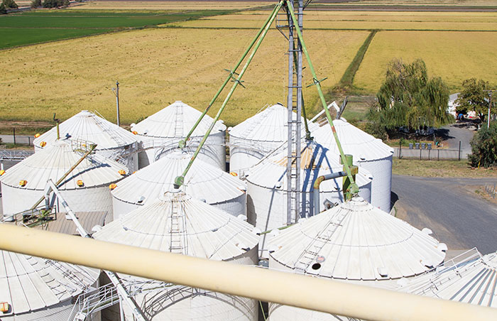 View from the top of the rice dryer