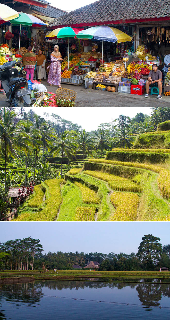 Market, rice terraces, and rice paddies in Bali, Indonesia