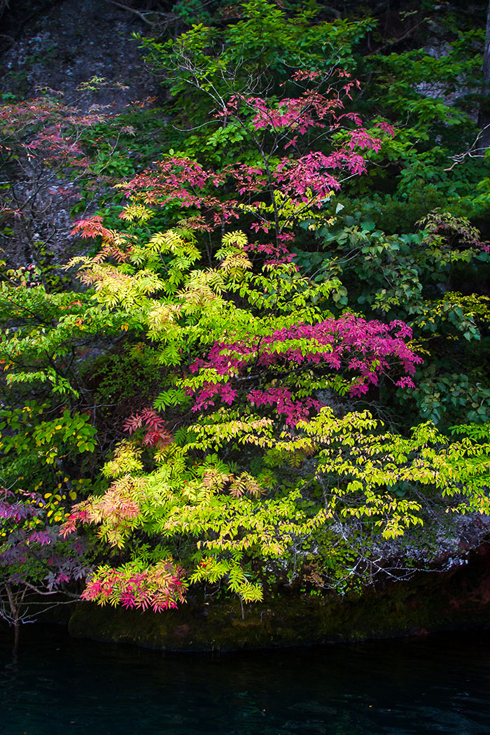Colors of Lake Towada