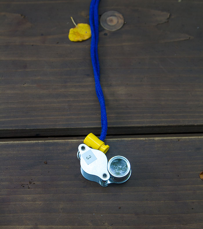 Magnifying glass