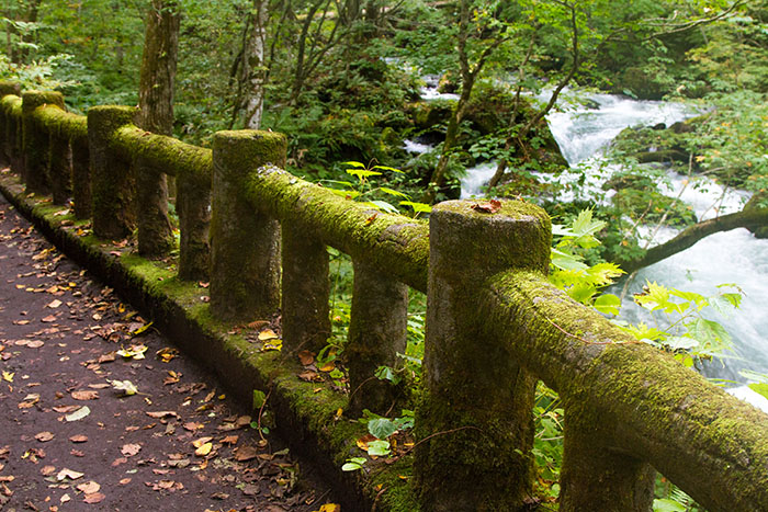 Moss covered railing in Oirase Gorge