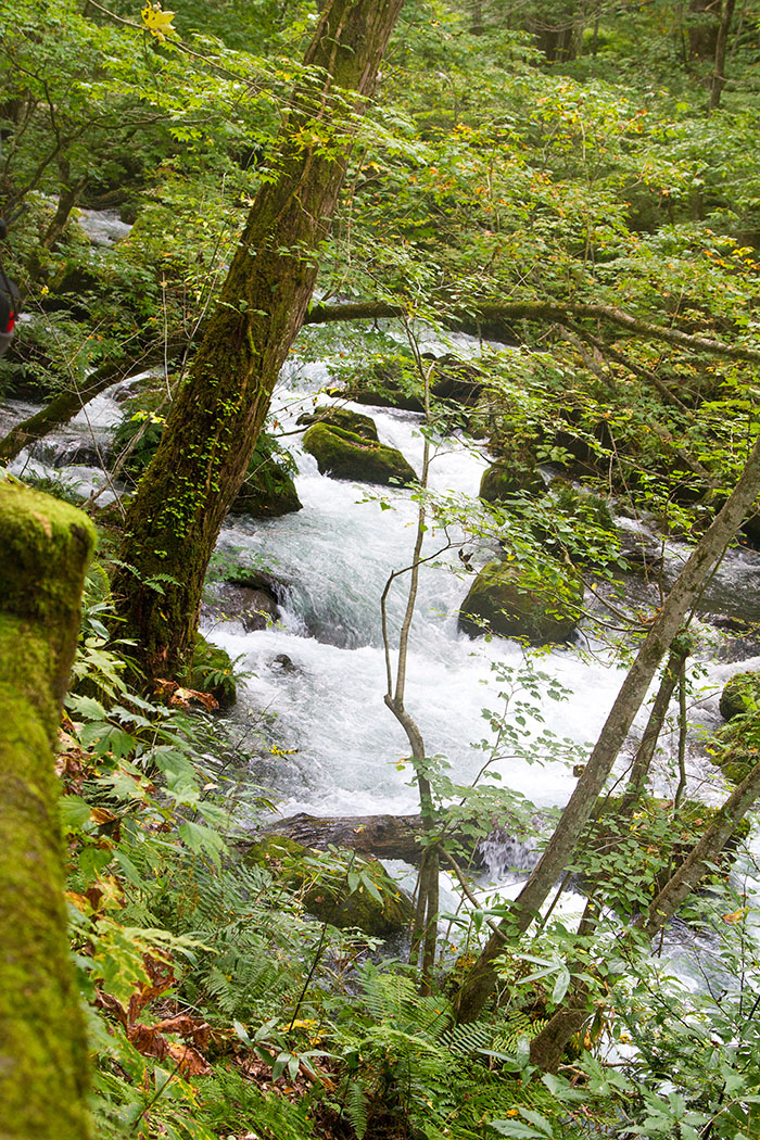 Oirase Gorge