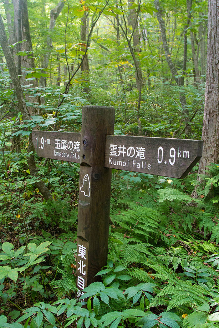 Sign along Oirase Gorge hiking trail