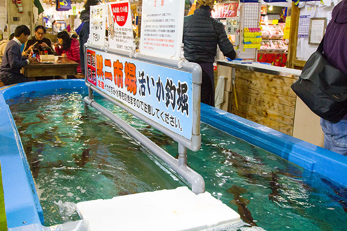 Squid fishing at the Hakodate morning market