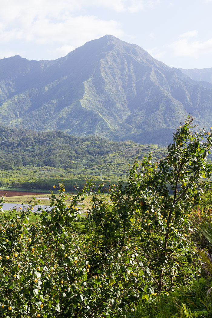 Kauai, Hawaii