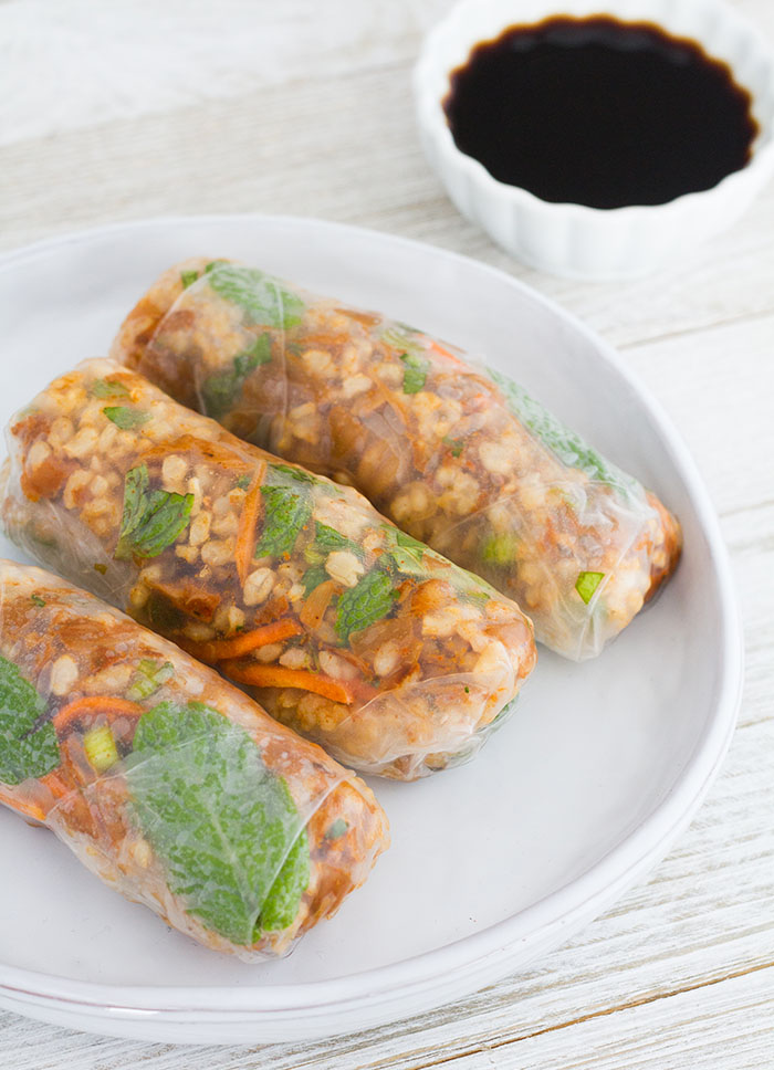 Jackfruit Carnitas Fresh Spring Rolls