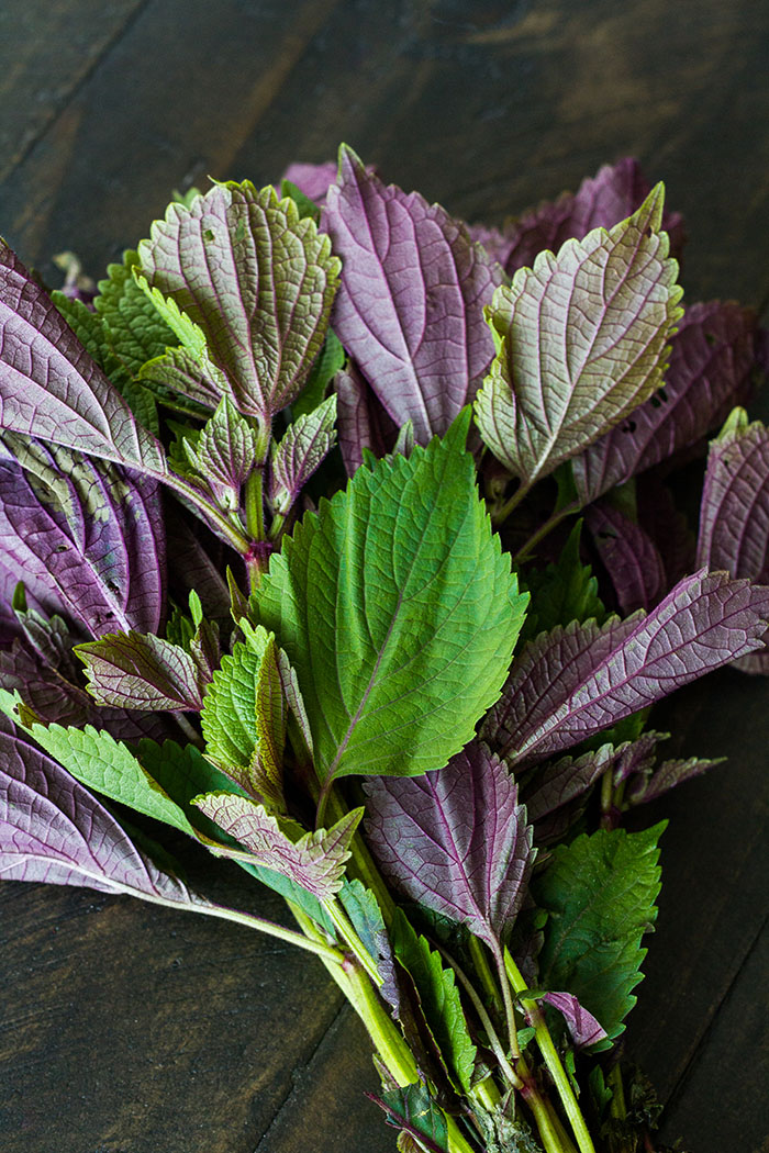 Shiso leaves